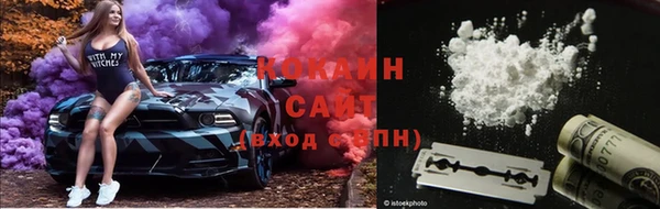 тгк Алзамай