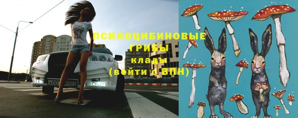 прущий лед Алексеевка