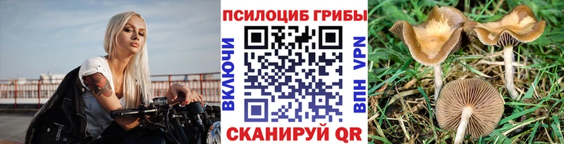 продажа наркотиков  Грязовец  Галлюциногенные грибы Magic Shrooms 